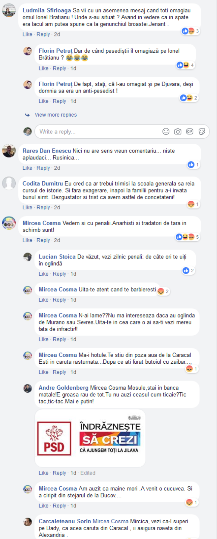 FireShot Capture 026 - (2) Mircea Cosma - https___www