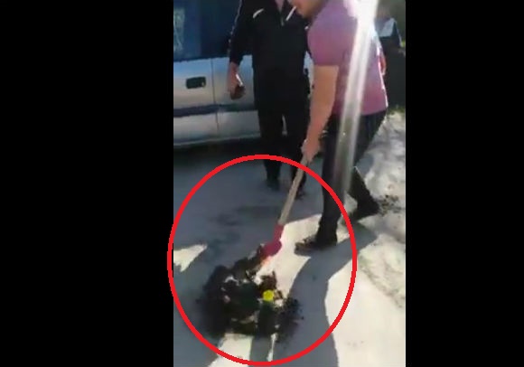 drum cu grop plantat cu flori
