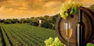 butoaie pentru vin