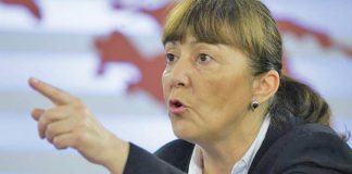 De ce sa se fi amestecat Monica Macovei in dosarul Microsoft?Mania proletara a Monicai Macovei