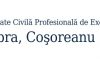 CEI MAI PROSTI SI NEPROFESIONISTI EXECUTORI JUDECATORESTI DIN ROMANIA II GASIM LA SOCIETATEA „PROFESIONALA” DOBRA, COSOREANU SI ASOCIATII DIN BUCURESTI