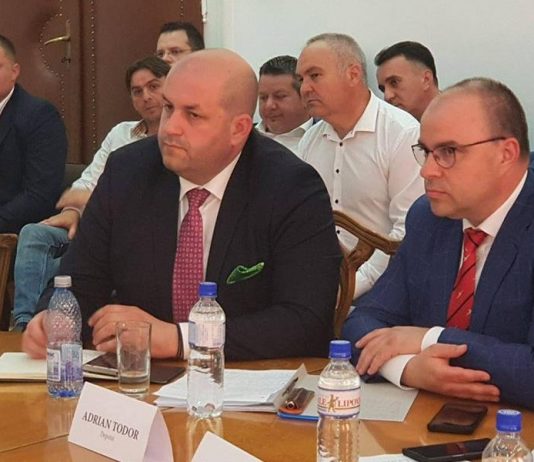EXCLUSIV/Consiliera deputatului Dorel Căprar, președintele Comisiei de Apărare și Ordine Publica din Camera Deputaților, acuzata de fals in inscrisuri