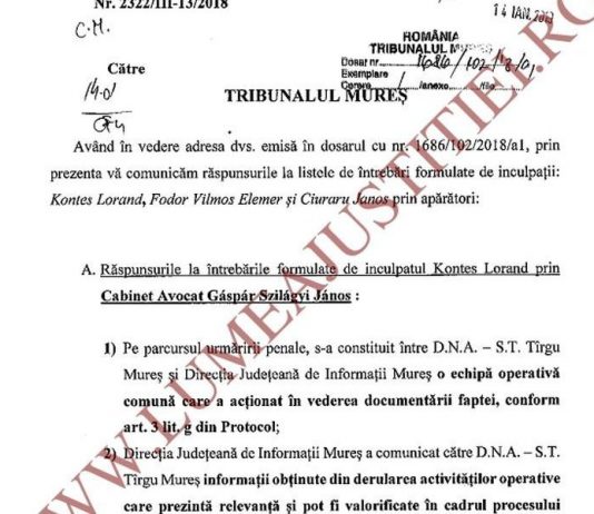 EXPLOZIV/Dovada oficiala ca SRI a condus anchetele DNA (Document)