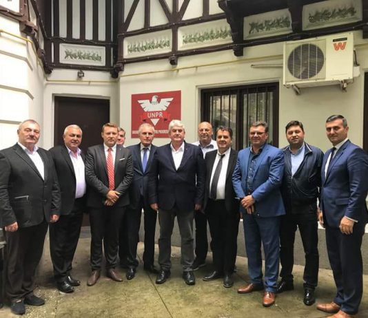 FALSUL SINDICALISM DIN MINISTERUL AFACERILOR INTERNE, RAMPA DE LANSARE IN MAFIA POLITICA ROMANEASCA