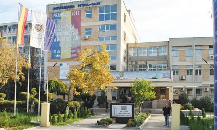 1a-74-1000x600.jpg