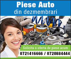 52830421_1266627213476610_5260525404984180736_n