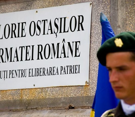 Presedintele UNPR, Gabriel Oprea, mesaj cu ocazia Zilei Rezervistului Militar
