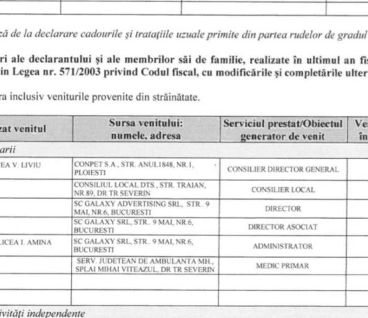 De ce a pierdut PNL Mehedinți alegerile în fața PSD!