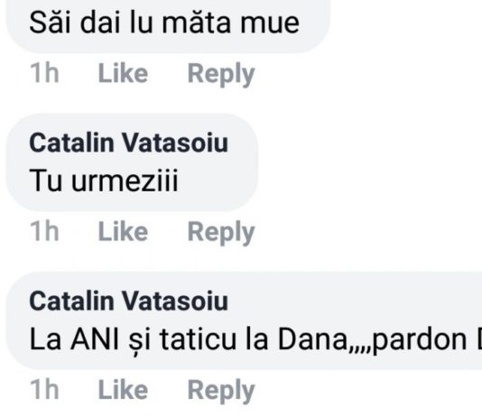 Plini de nesimțire și… in conflict de interese și incompatibilitate