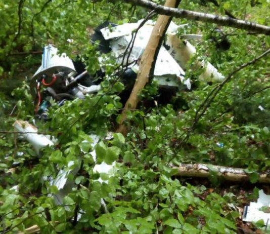 Doi oameni de afaceri morti intr-un accident de avion