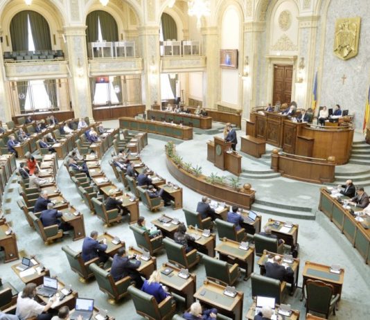 Guvernul a avizat publicarea raportului GRECO