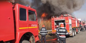 incendiu-voluntari-dezmembrari-auto4-1-300x150.jpg