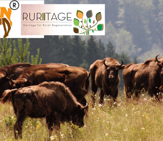 Ținutul Zimbrului din Neamț, pe lista bunelor practici în cadrul RURITAGE (UNESCO)
