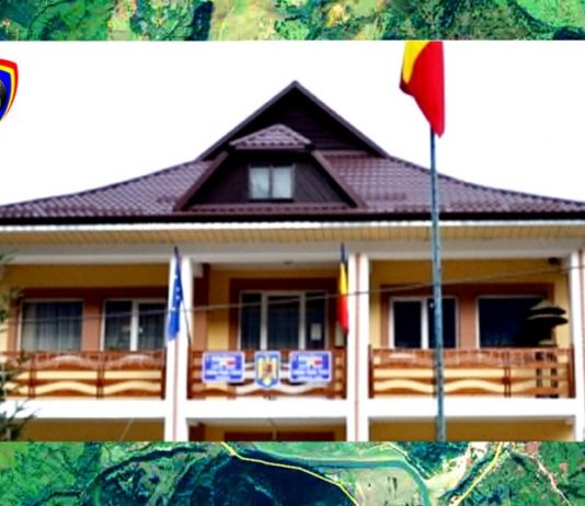 Viceprimarul primăriei Poiana Teiului nu vrea să informeze Consiliul Local despre faptul că s-a constatat un mare furt de arbori din pădurea comunei