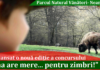 „Ana are mere… pentru zimbri!” la Parcul Natural Vînători-Neamț