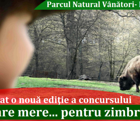 „Ana are mere… pentru zimbri!” la Parcul Natural Vînători-Neamț