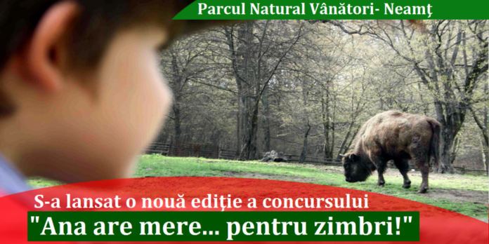 ana-are-mere-pt-zimbri-1024x512.png