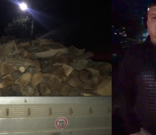 (FOTO/VIDEO) Polițist din Neamț, suspect ca a transportat lemn, fără acte