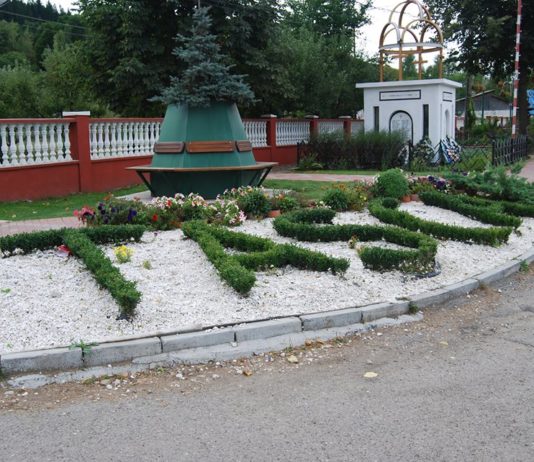 În atenția tinerilor comunei Tașca
