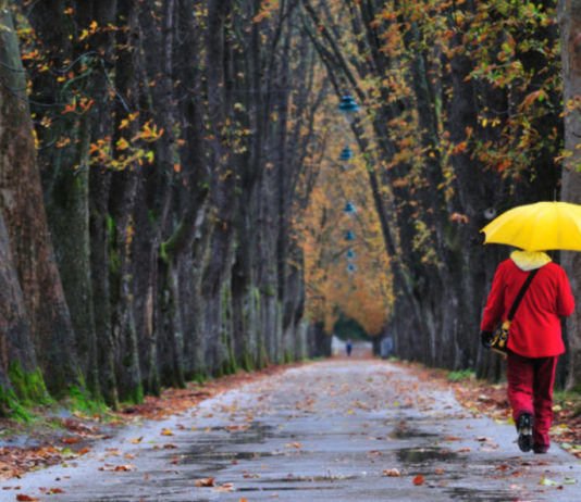 Toamna își intră în drepturi. Vin ploi și temperaturi scăzute!