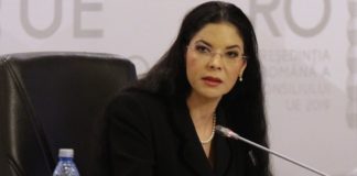 Răspunsul Anei Birchall către CSM: Minciuni!