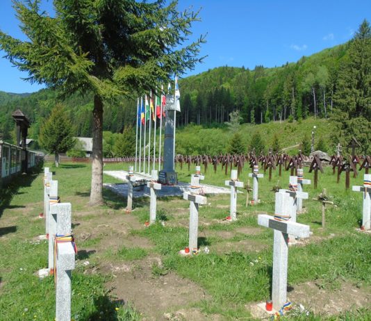 Cimitirul militar din Valea Uzului – Ministerul Apărării aşteaptă opinia statelor de care aparţin eroii înmormântaţi