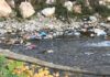 Gunoaiele zac pe malul apei din Bicaz Chei