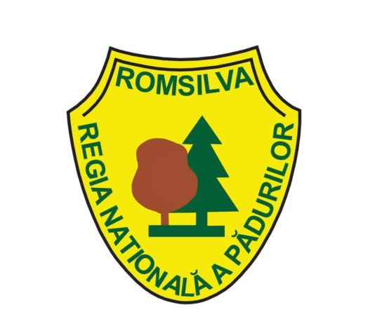 Direcția Silvică Neamț: Licitație închirieri imobile