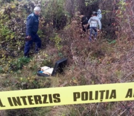 Pădurar de 30 de ani din Maramureș împușcat mortal în timp ce încerca să prevină o tăiere ilegală