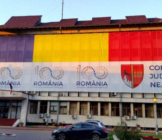 CJ Neamț: Anunț privind dezbaterea publică – acord de mediu pentru „AXIALUL” DJ 155 F