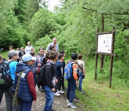 O nouă formă de învățământ în Harghita. Școala din pădure!