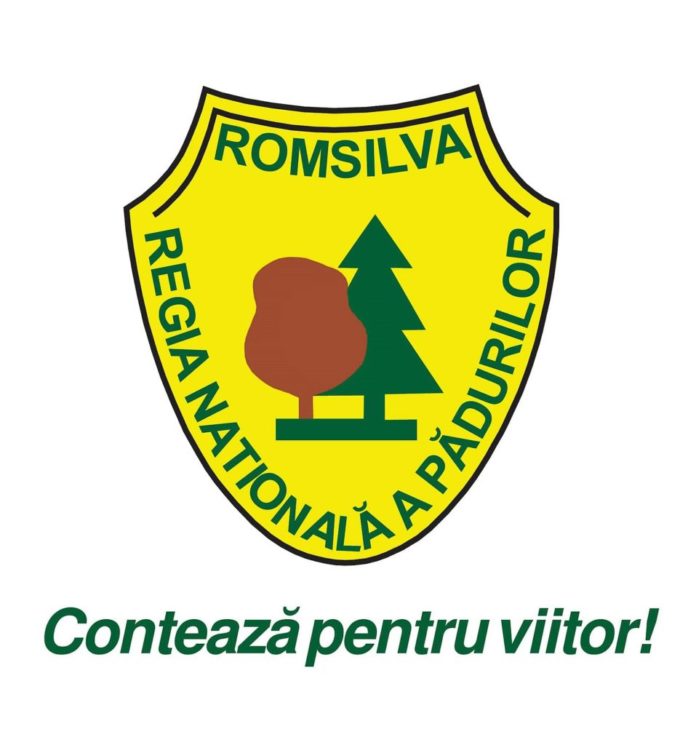 ROMSILVA_SIGLA-957x1024.jpg