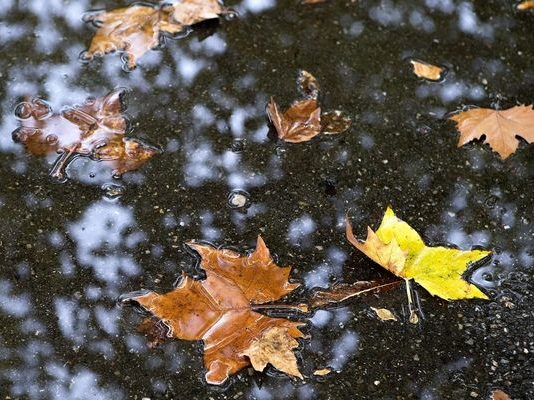 Informare meteo – ploi, vânt, răcire accentuată