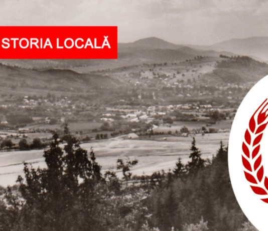 Darea de seamă a organizației PCR din Târgu Neamț pe anul 1972