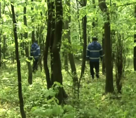Persoană rătăcită căutată de pompieri, jandarmi, salvamontiști și polițiști