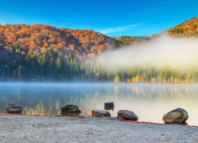 shutterstock_321456092.jpg