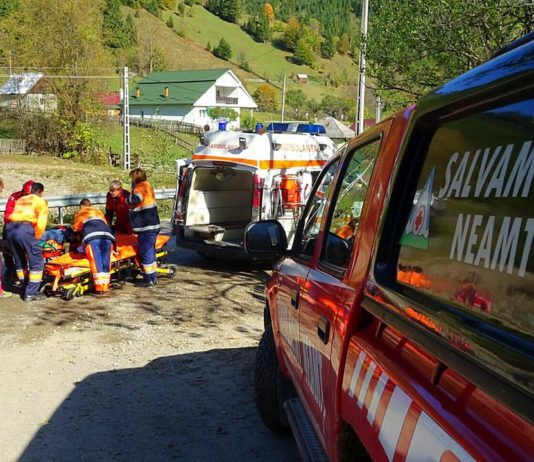 Un arbore a căzut peste un muncitor, în Grințieș