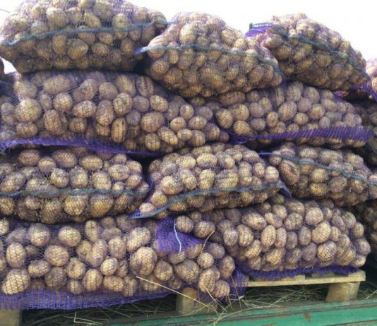 Viitor alimentar asigurat! Doi căruţaşi din Sânmartin au furat peste o tonă şi jumătate de cartofi