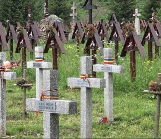 Vizita experţilor din România şi Ungaria în cimitirul militar Valea Uzului a fost amânată