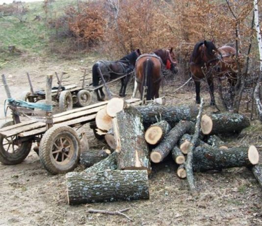 Sfârșit tragic pentru un bărbat de 54 de ani din Mărtiniș