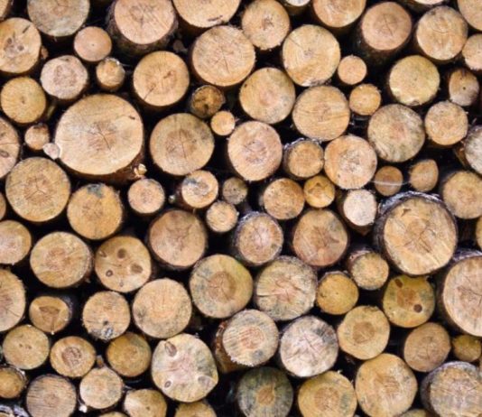 La ce preț a ajuns metrul cub de lemn în județul Harghita?