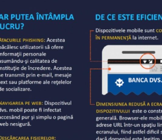 Vă faceți CUMPĂRĂTURILE de pe NET? Poliția Română arată cum vă apărați de FRAUDELE ONLINE