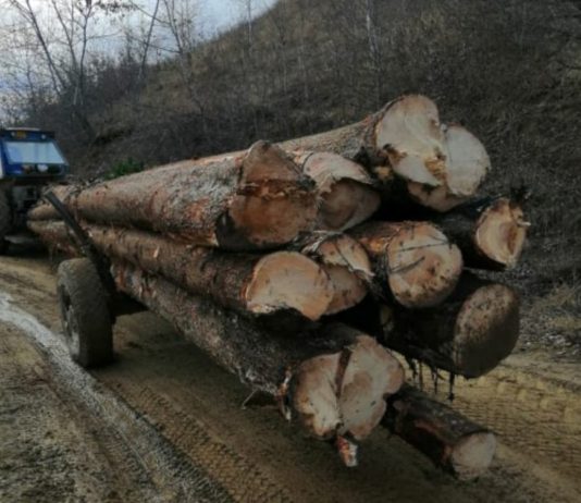 Rezultate obținute în weekend de către jandarmii harghiteni
