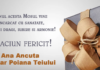 Ana Ancuța, Primar Poiana Teiului – Felicitare de Crăciun