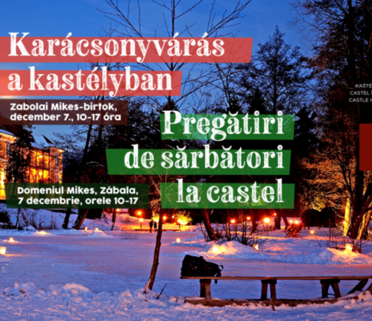 Pregătiri de Sărbători la Zăbala