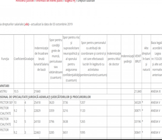 Inspector șef în Ministerul Justiției- salariu, trei sporuri, venituri de 7.300 euro