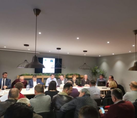 Primarul Daniel Harpa, reales președinte al organizației PSD Tîrgu Neamț. Emilia Arcan: „A fost un vot de încredere totală manifestat de către târgnemțeni”
