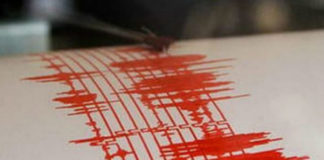 Cutremur in zona seismica Vrancea, vineri seara
