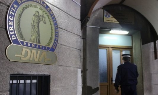 DEZVĂLUIRI Ana Maria Pătru, de la Autoritatea Electorală, rețeta unor șpăgi cinstite