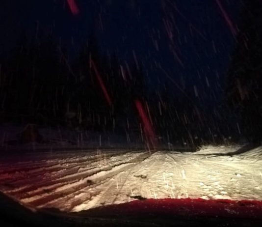 Drumuri blocate: DN 12C, DN 13B și DJ 125. Pompierii acționează pentru degajarea arborilor